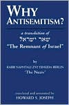Book cover image of Why Antisemitism?: A Translation of the Remnant of Israel by Naphtali Zevi Judah Berlin