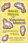 Sage Holloway: Animal Healing and Vibrational Medicine