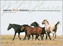 Lynne Pomeranz: Among Wild Horses: A Portrait of the Pryor Mountain Mustangs