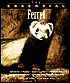 Book cover image of Essential Ferret by Betsy Sikora Siino