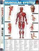 Book cover image of Muscular System (SparkCharts) by SparkNotes Editors