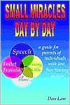 Dara Lane: Small Miracles Day by Day: A Guide for Parents of Individuals with Low Functioning Autism