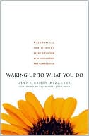 Diane Eshin Rizzetto: Waking up to What You Do: A Zen Practice for Meeting Every Situation with Intelligence and Compassion
