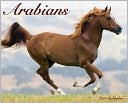 Book cover image of 2011 Arabians Wall Calendar by Willow Creek Press, Incorporated