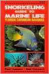 Book cover image of Snorkeling Guide to Marine Life: Florida, Caribbean, Bahamas by Paul Humann