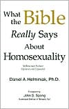 Book cover image of What the Bible Really Says about Homosexuality: Millennium Edition by Helminiak