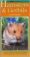 David Alderton: Interpet Guide to Hamsters and Gerbils