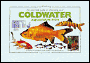 Book cover image of Essential Guide to Choosing Your Coldwater Aquarium Fish by Nick Fletcher