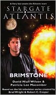 Book cover image of Stargate Atlantis: Brimstone: SGA-13 by David Niall Wilson