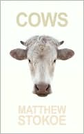 Matthew Stokoe: Cows